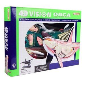 4D Vision Orca Anatomy Model Kit With Detachable Parts & Detailed Finish